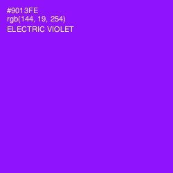 #9013FE - Electric Violet Color Image